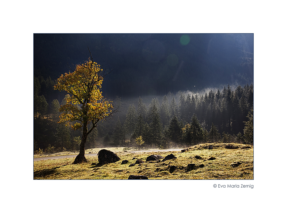 Sonnenfänger