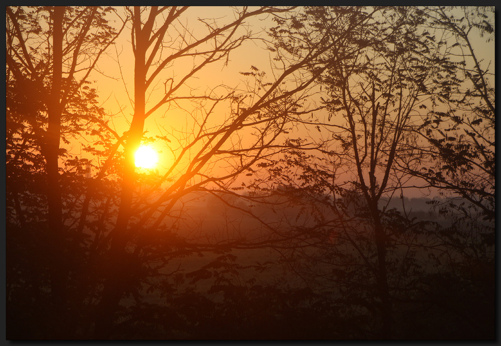 ...SonnenFänger...