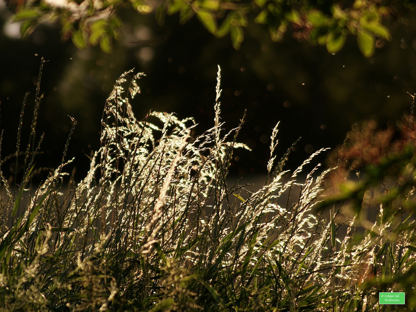 Sonnenfänger