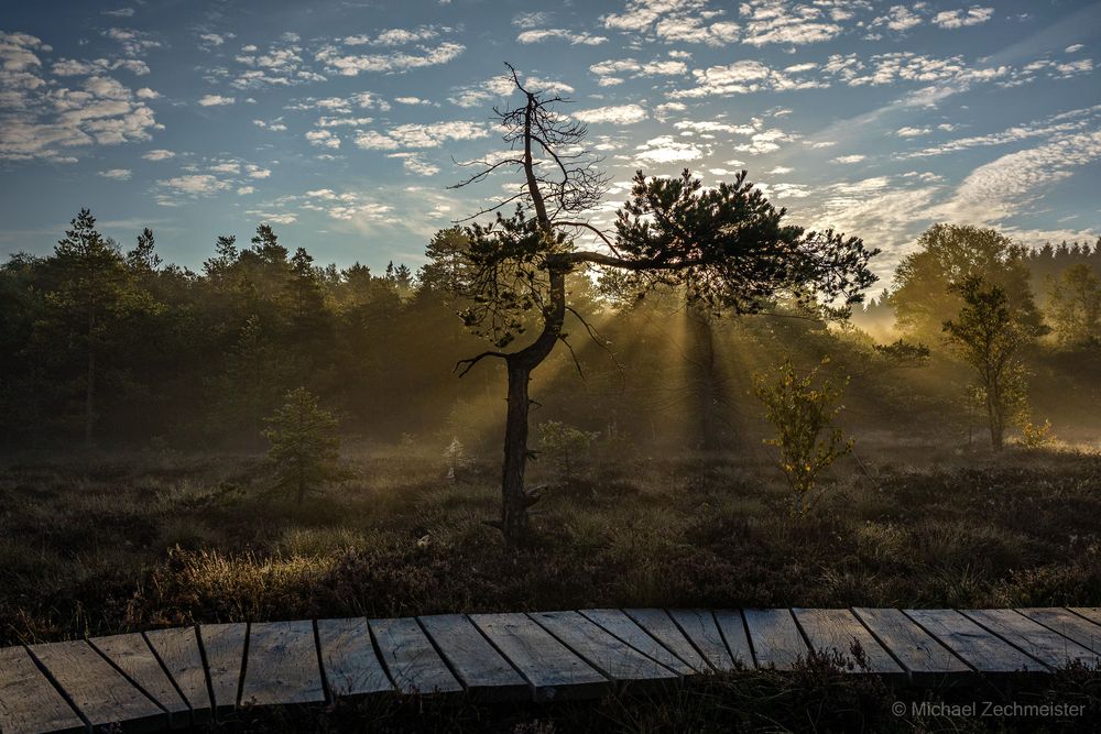 Sonnenfänger...