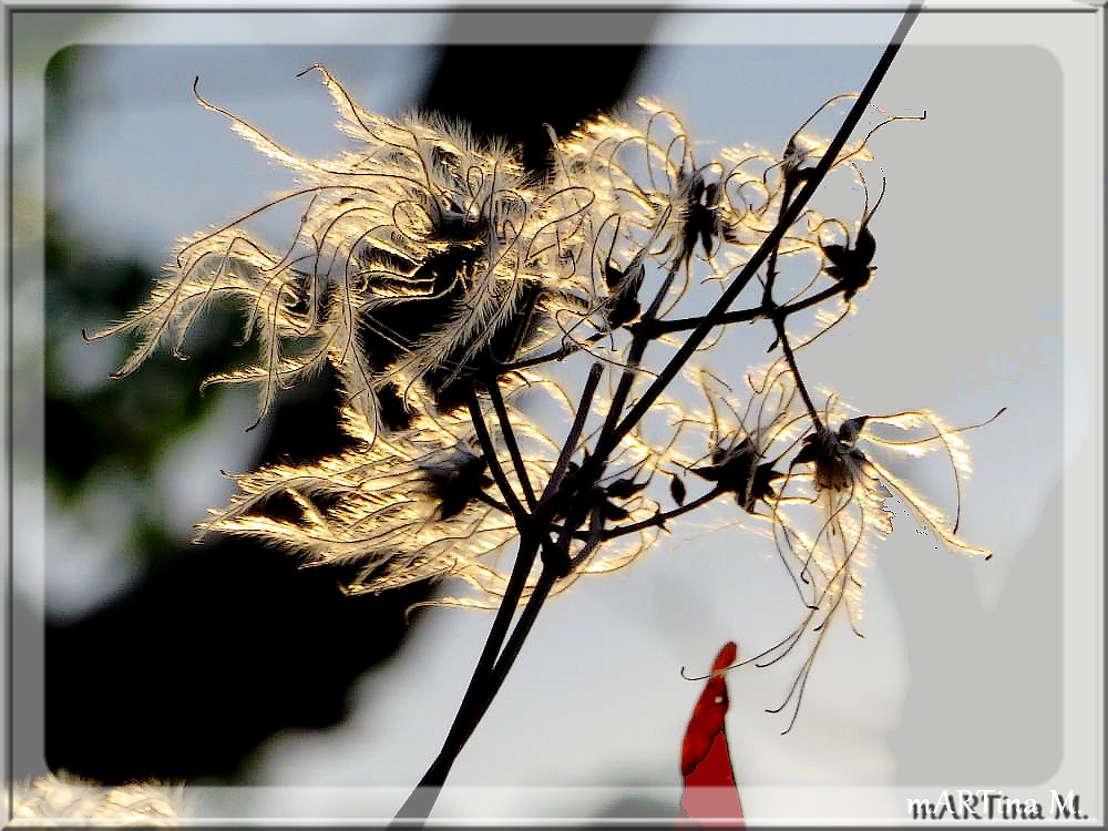 Sonnenfänger (mit Gedicht)