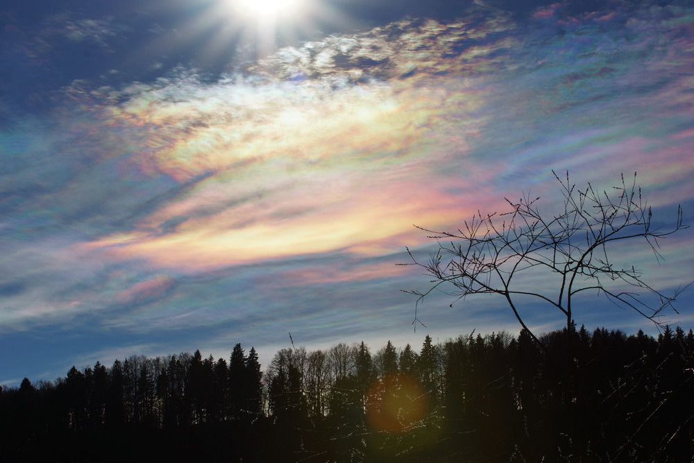 Sonnenfarben am Mittag