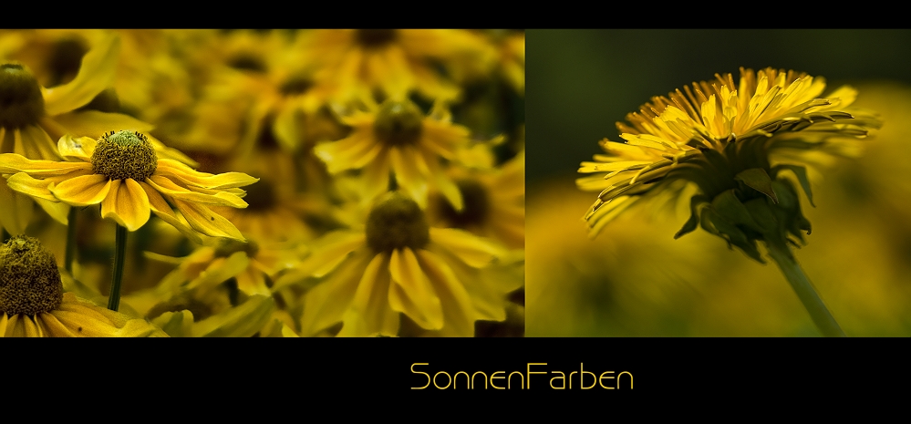 SonnenFarben