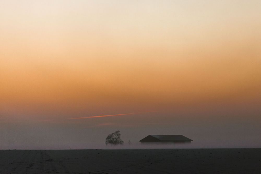 Sonnenfarben im Nebel_(IMG_9449)