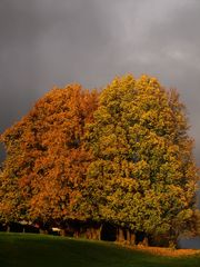 Sonnenfenster