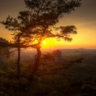 Sonnenfestspiele am Falkenstein :-)