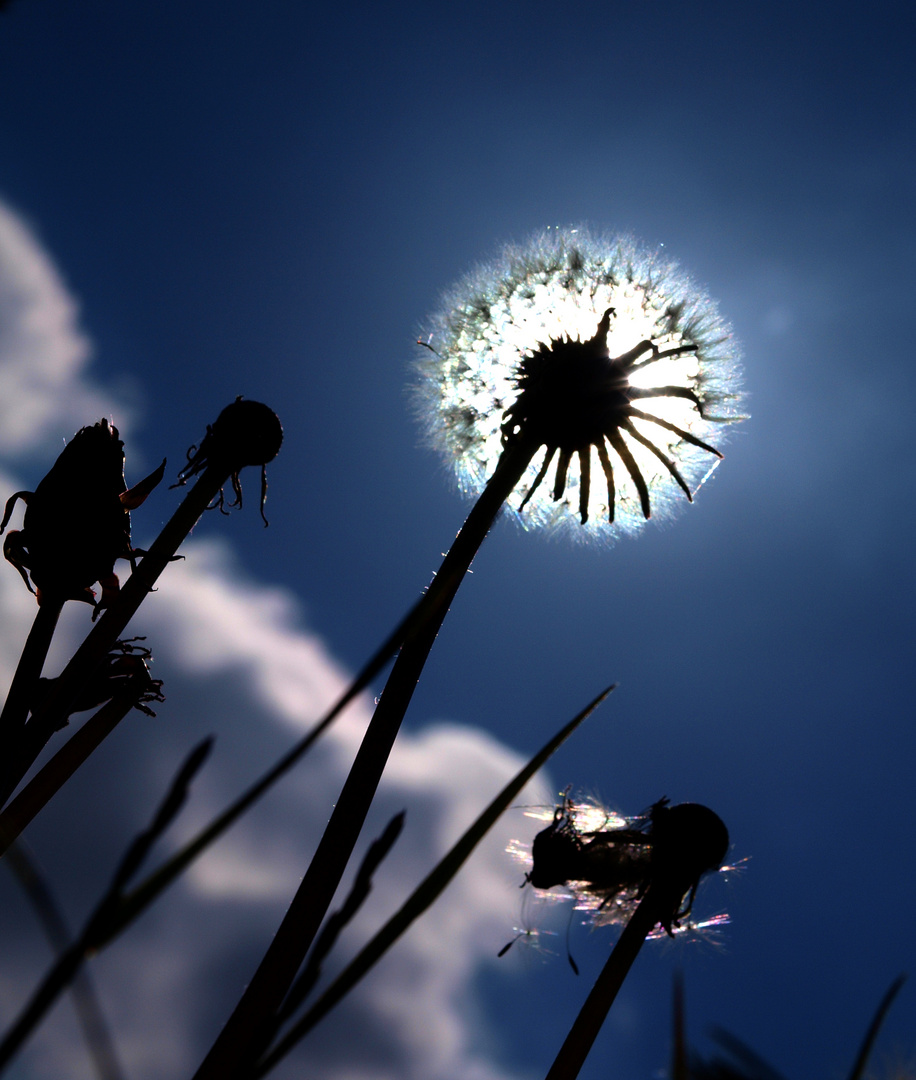 Sonnenfinsternis