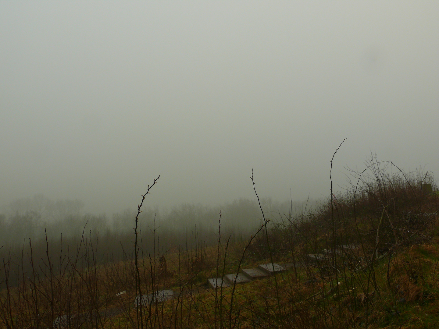 Sonnenfinsternis 2015 im Nebel