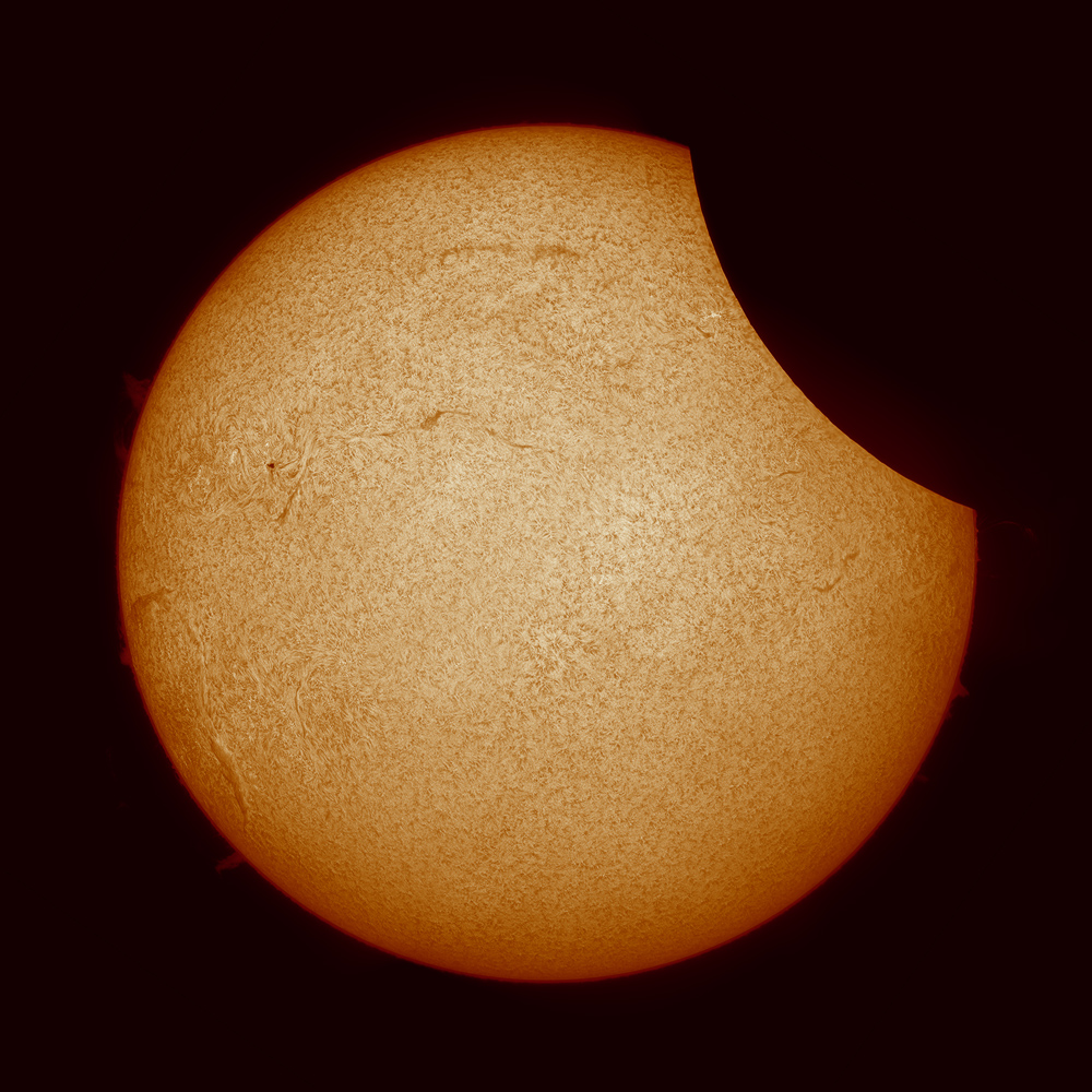 Sonnenfinsternis 2015 in H-Alpha