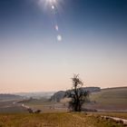 Sonnenfinsternis 20.3.2015 bei Regensburg