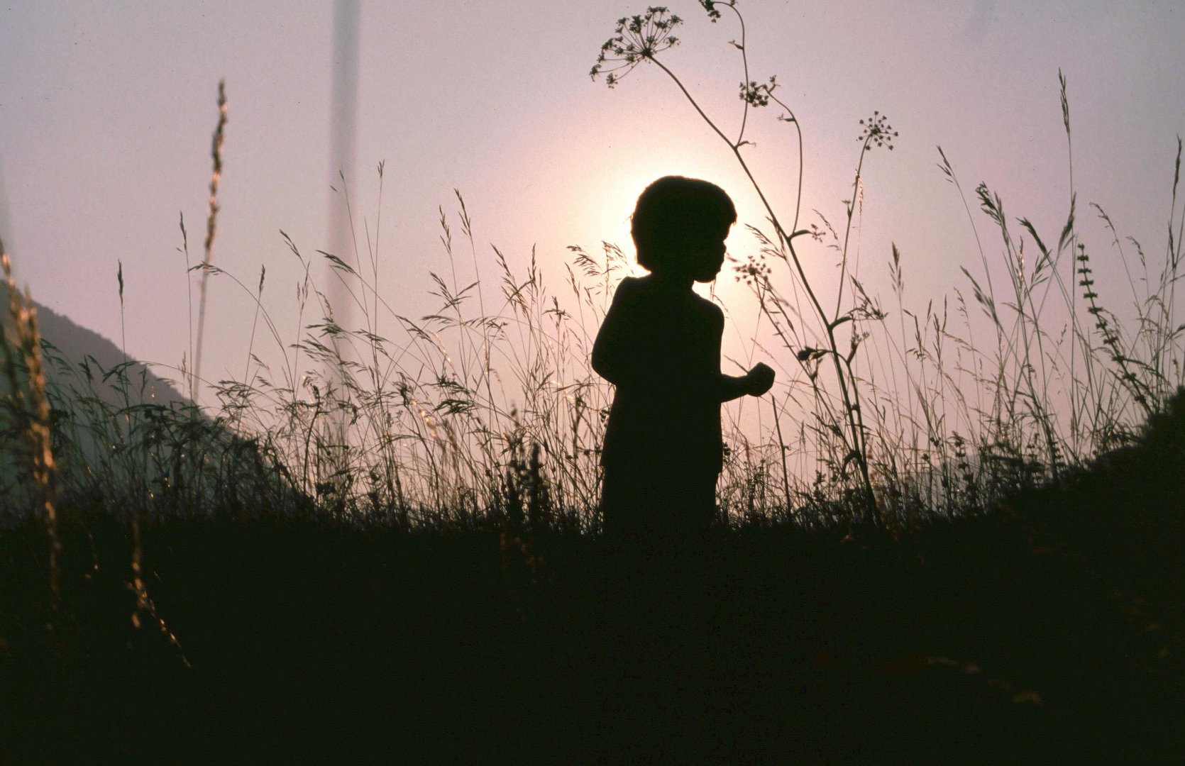 Sonnenfinsternis