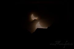 Sonnenfinsternis / eclipse 04.01.2011