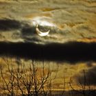 "Sonnenfinsternis" in Dresden