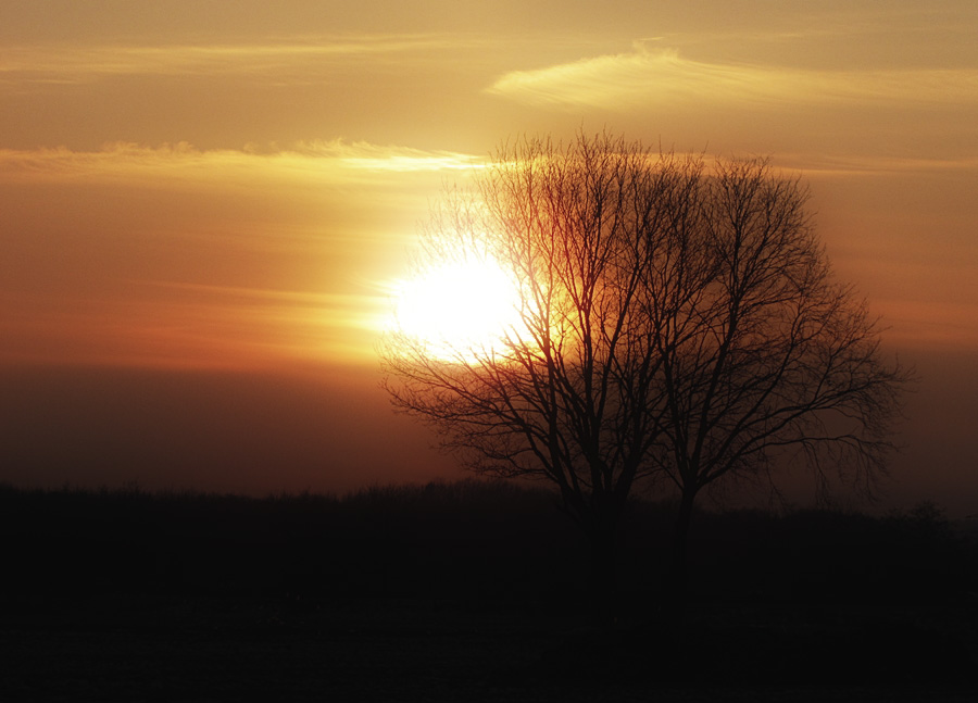 Sonnenflecken