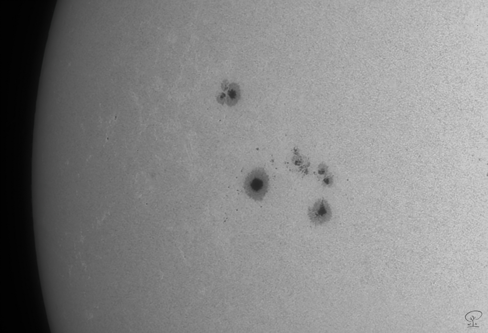 Sonnenflecken AR3685+3686
