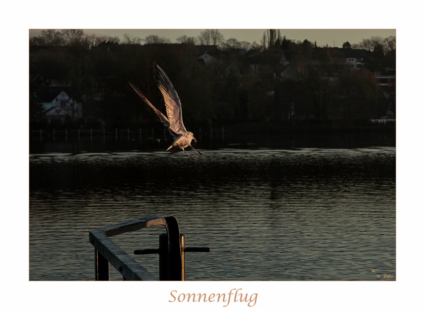 Sonnenflug