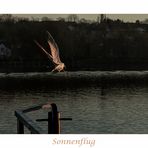 Sonnenflug