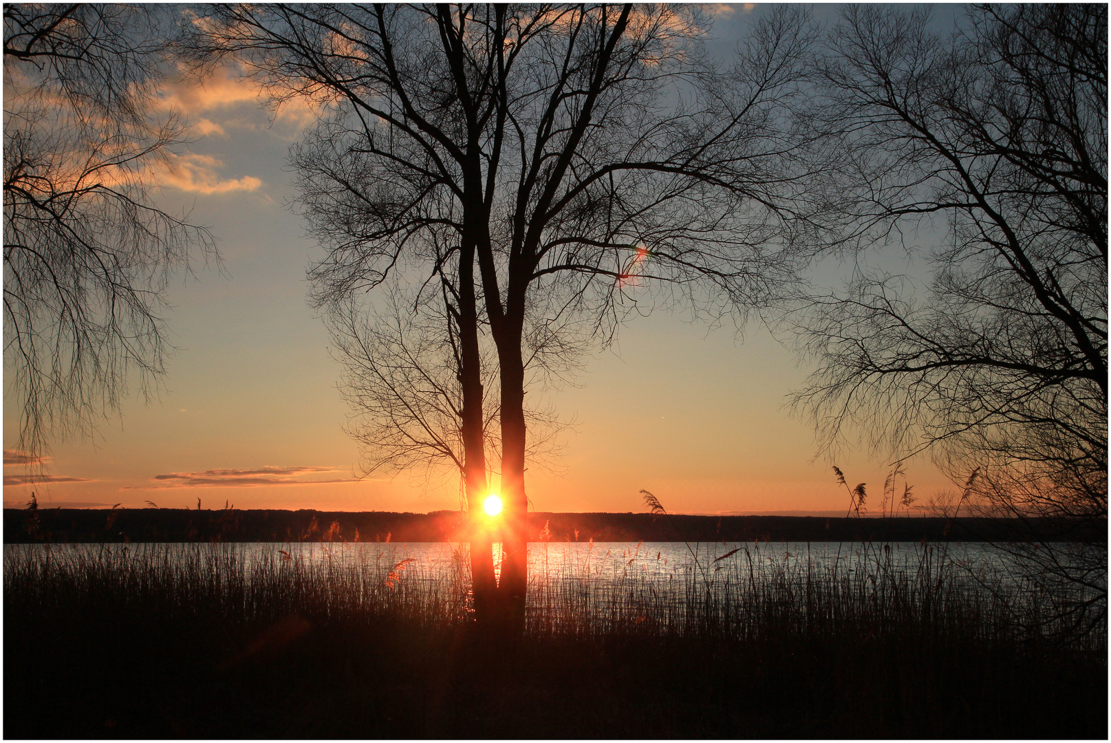 Sonnengedrängel