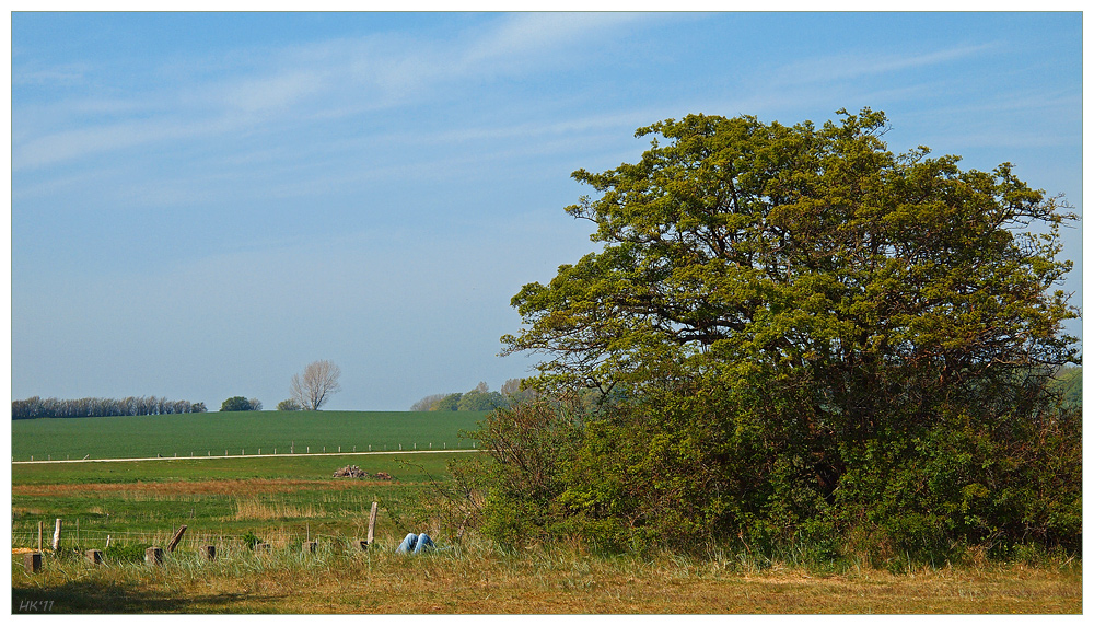 Sonnengenießer