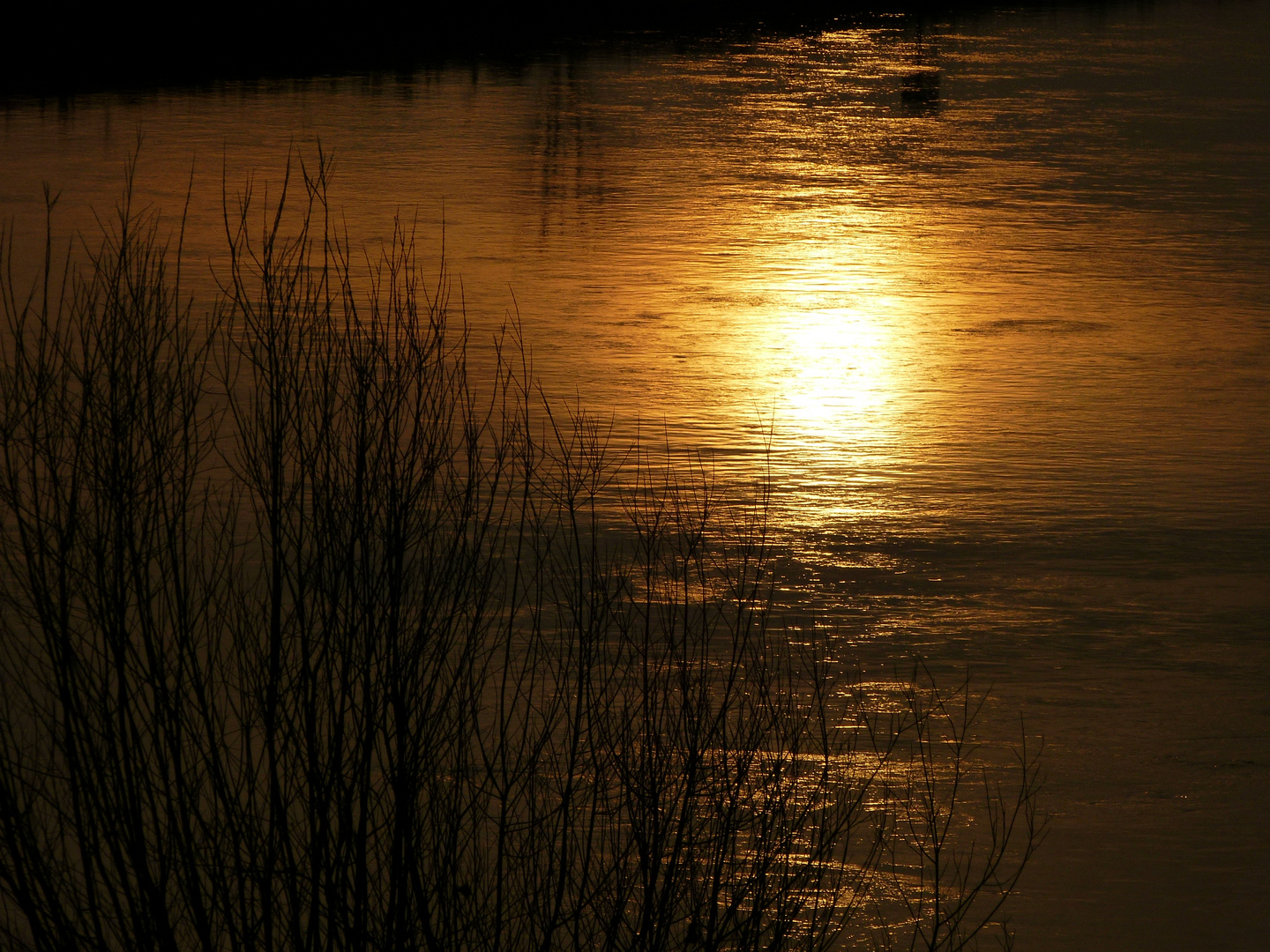 Sonnengold der Weser - Polle