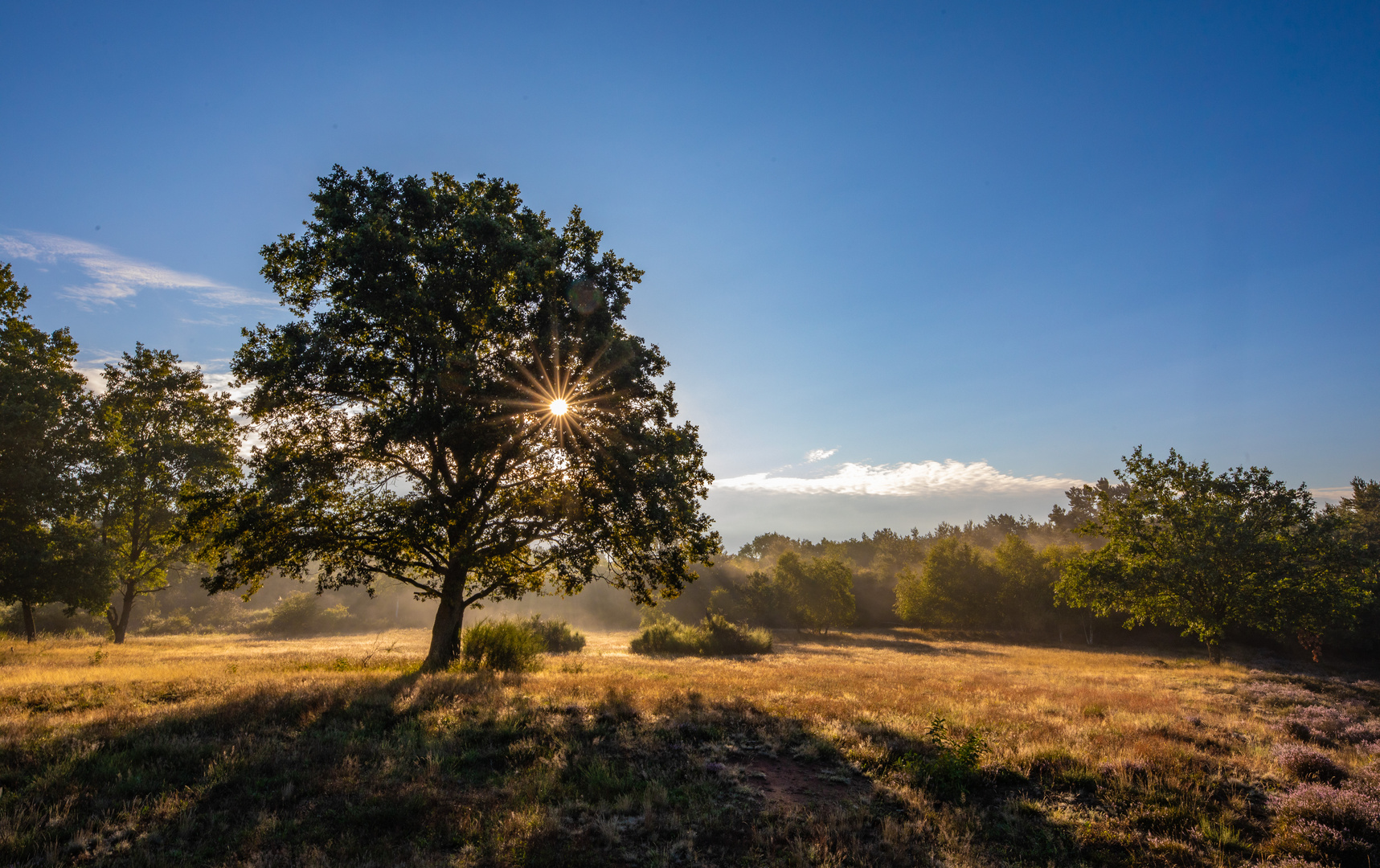 Sonnengruß von der Mehlinger Heide