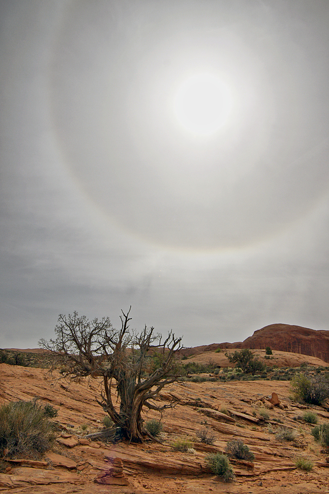 Sonnenhalo