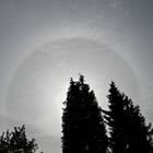 Sonnenhalo in Düsseldorf, 9.10.11, 13.45.14 Uhr, BILD 1