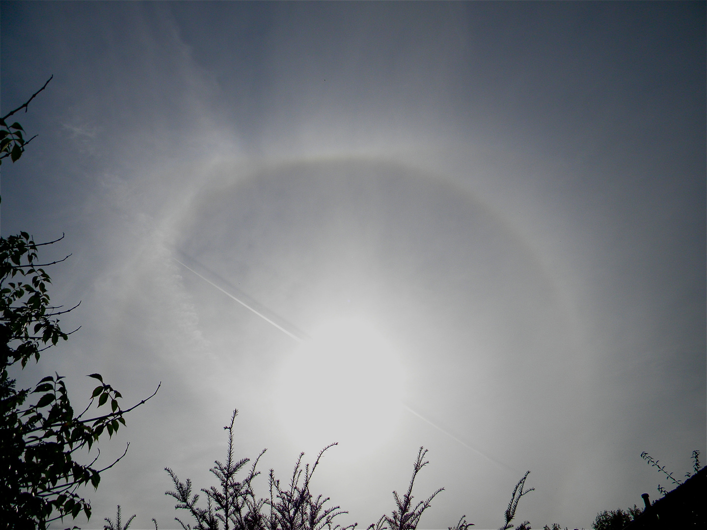 Sonnenhalo in Düsseldorf, 9.10.11, 13.56.35 Uhr, BILD 2