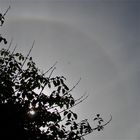 Sonnenhalo in Düsseldorf am 9.10.11, 14.01.59 Uhr, BILD 4