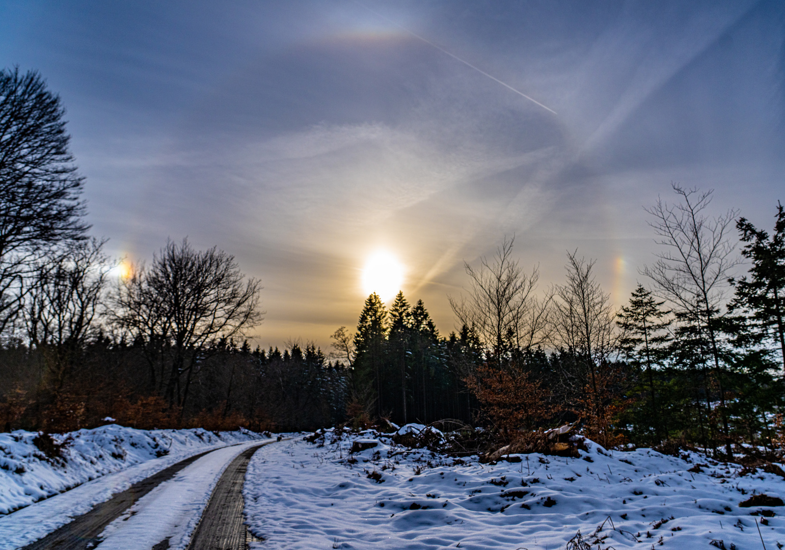 Sonnenhalos_DSC01451 2023-03-15