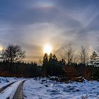 Sonnenhalos_DSC01451 2023-03-15