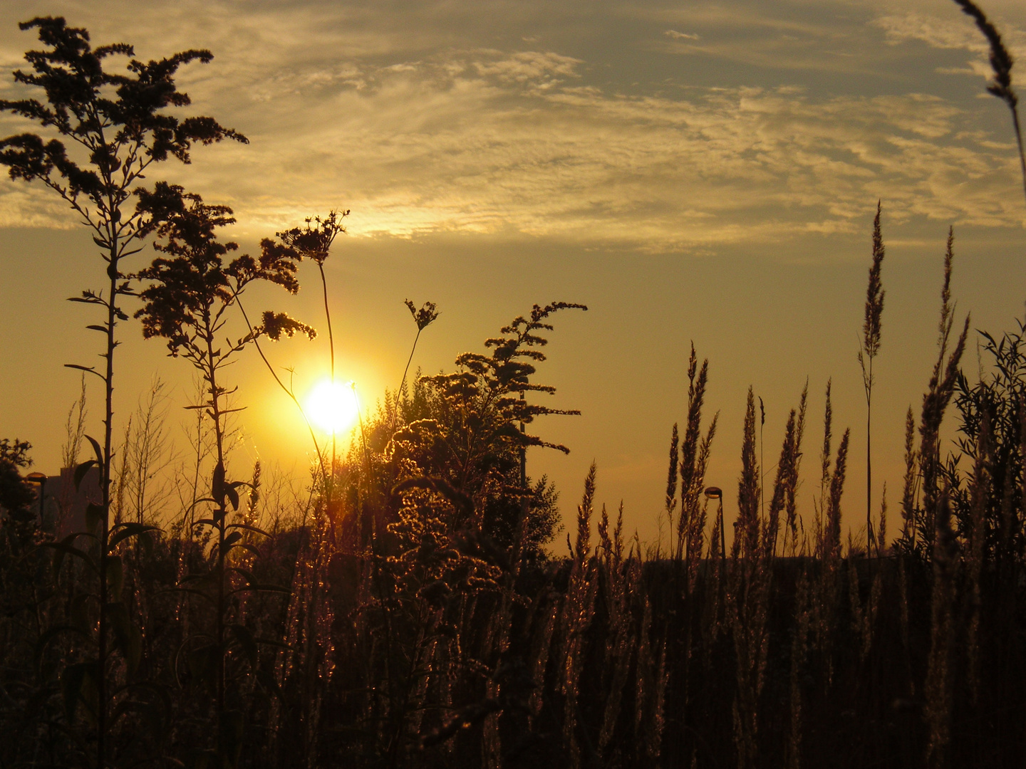 Sonnenimpressionen