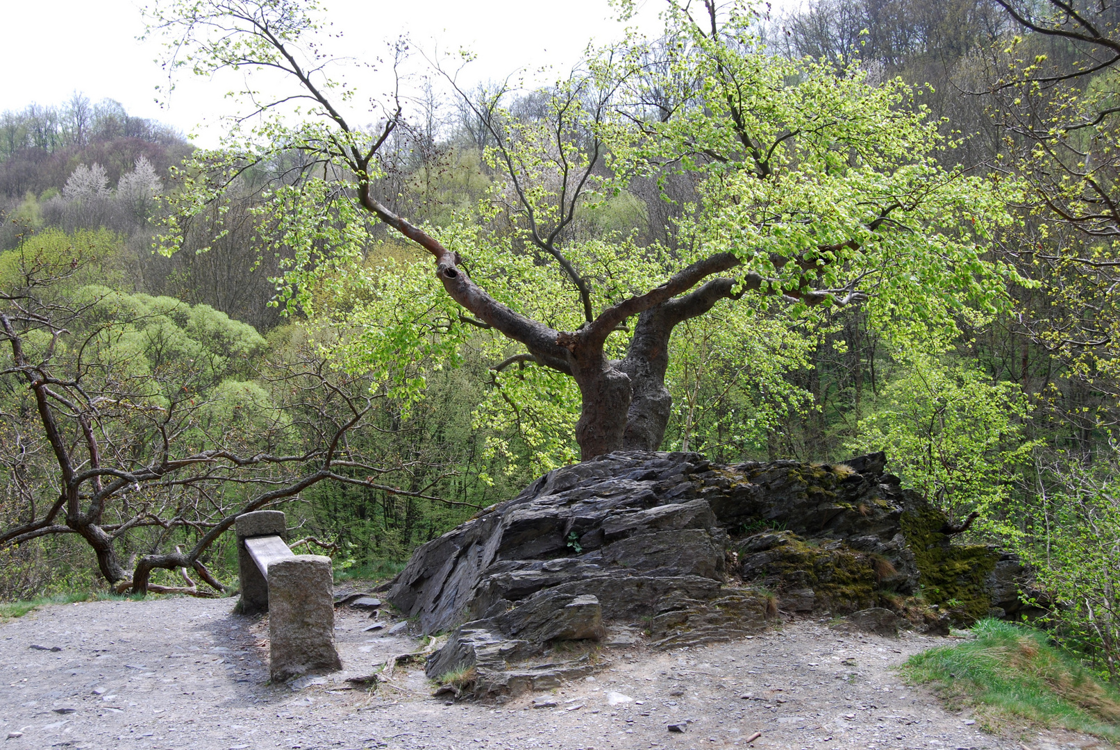 Sonnenklippe...