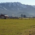 "Sonnenköpfe und Rubi-Horn bei Burgberg 1"