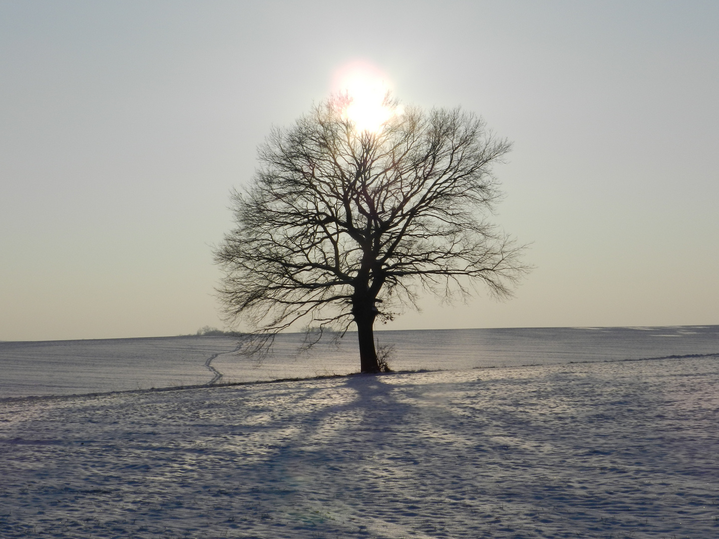 Sonnenkrönung