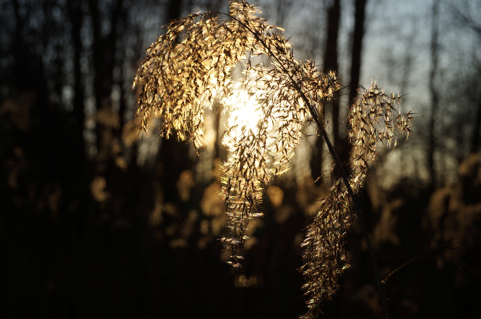 Sonnenlicht