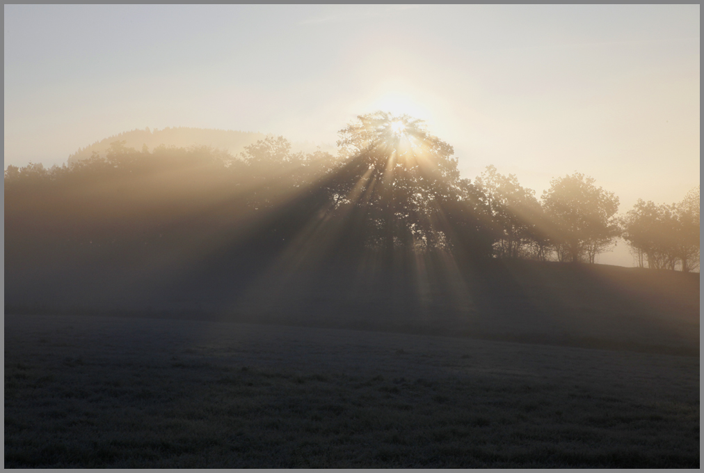 Sonnenlicht