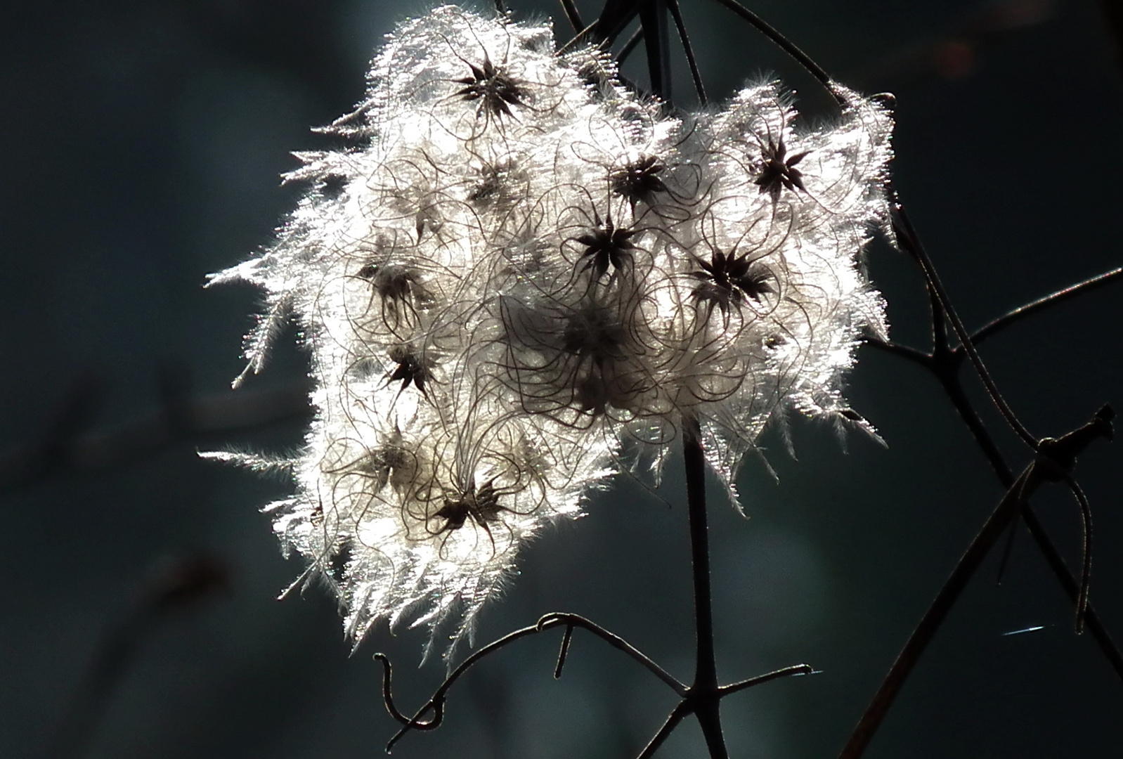 Sonnenlicht