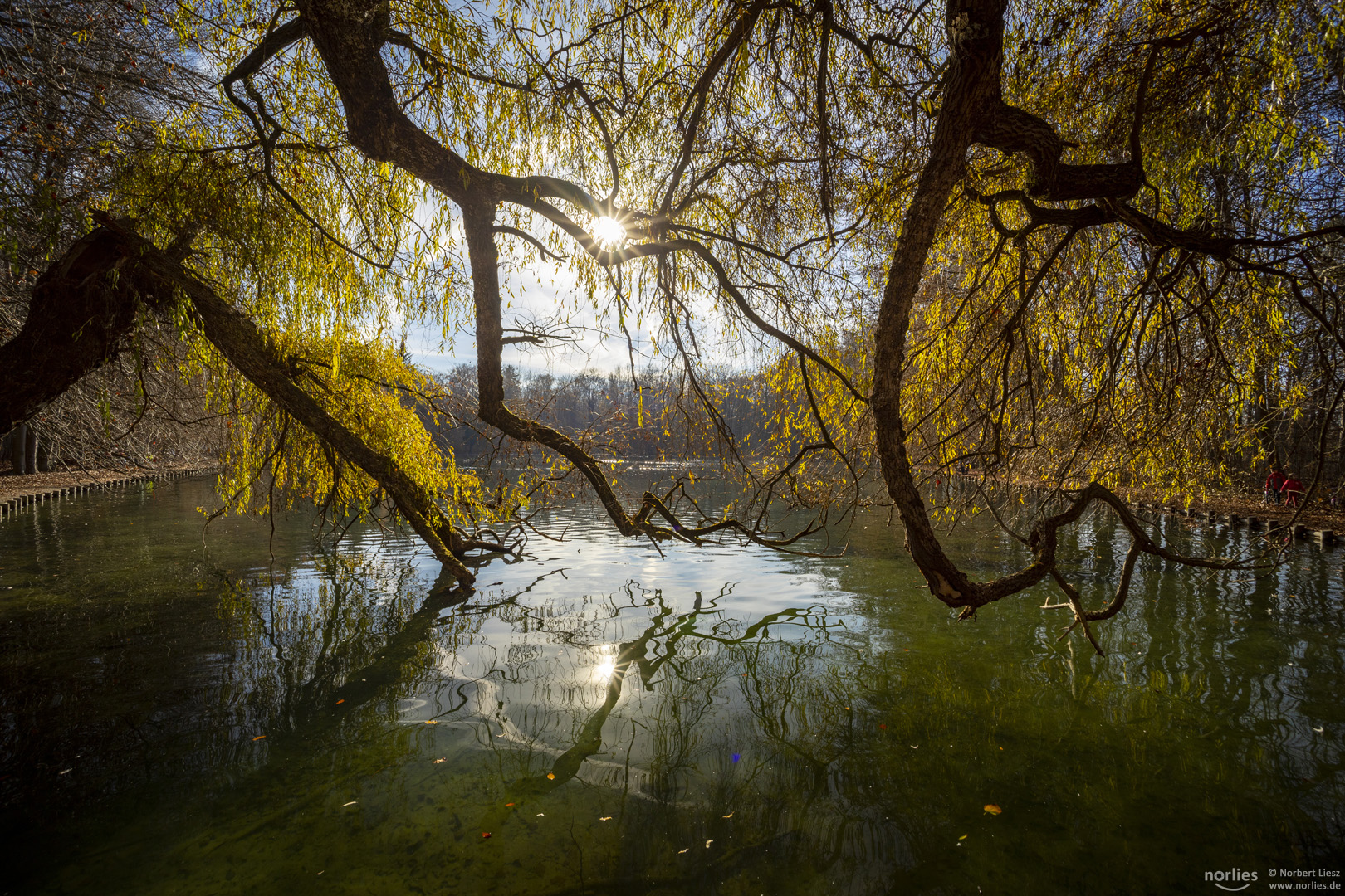 Sonnenlicht am Stempflesee