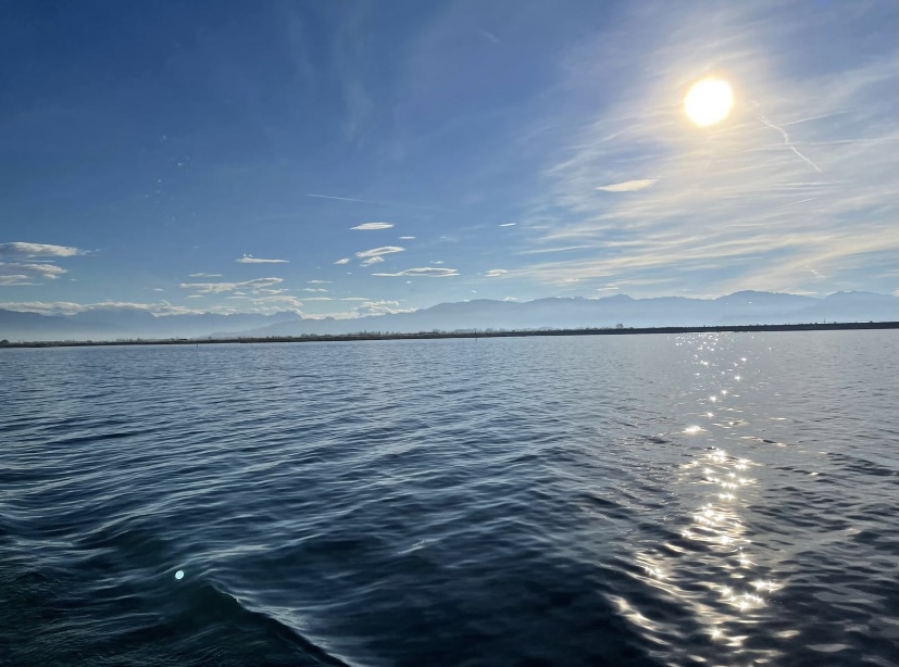 Sonnenlicht auf dem See