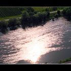 Sonnenlicht auf der Mosel