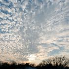 Sonnenlicht durch Cumulus Floccus