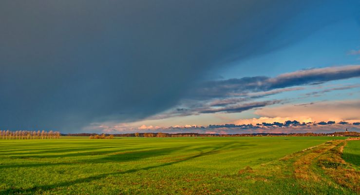 Sonnenlicht durch die Felder