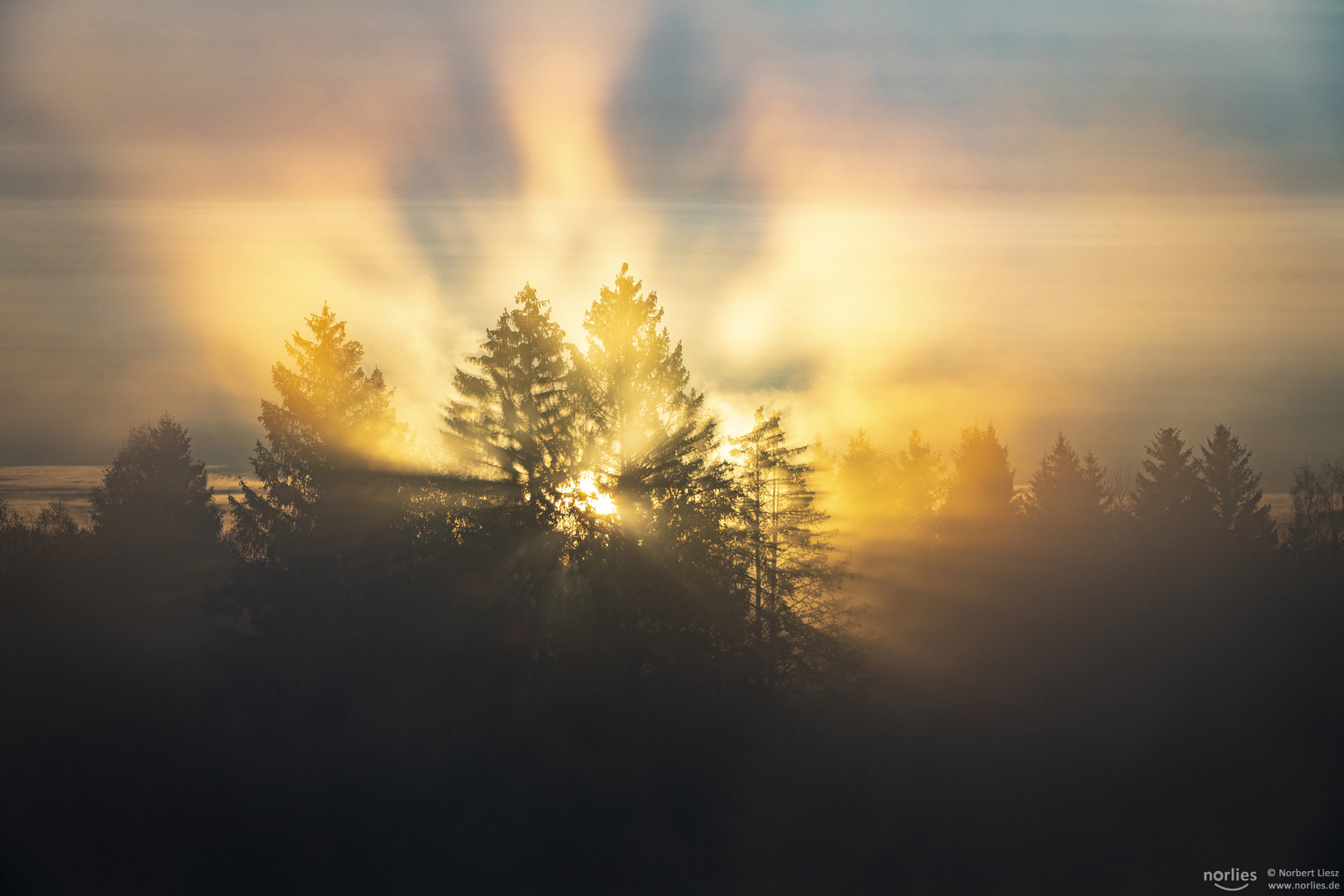 Sonnenlicht durchbricht den Nebel