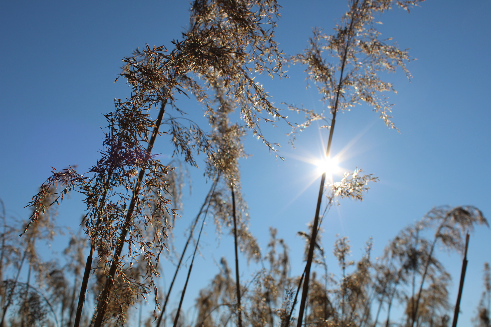 Sonnenlicht