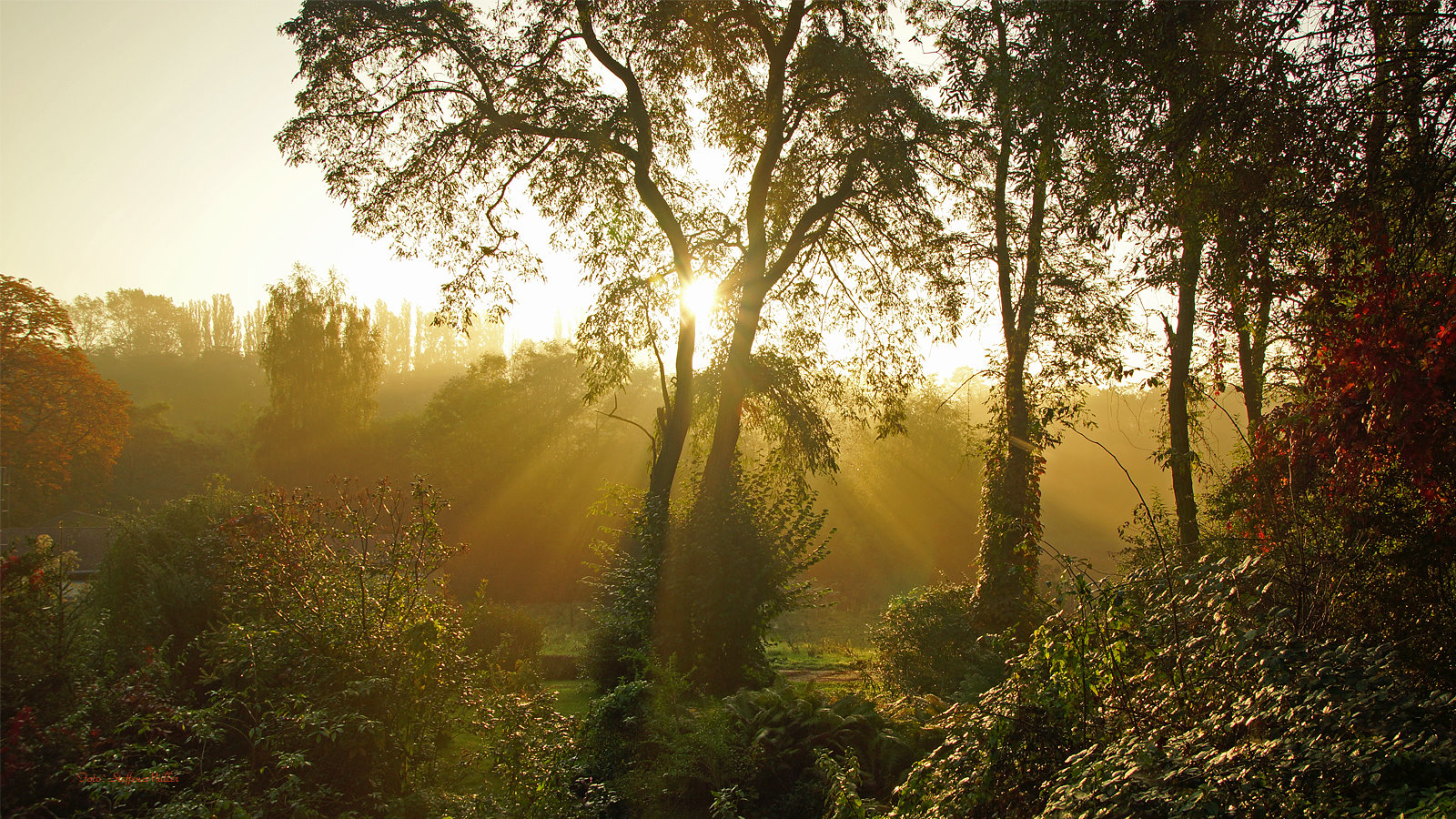 Sonnenlicht