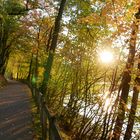 Sonnenlicht fällt auf den Weg