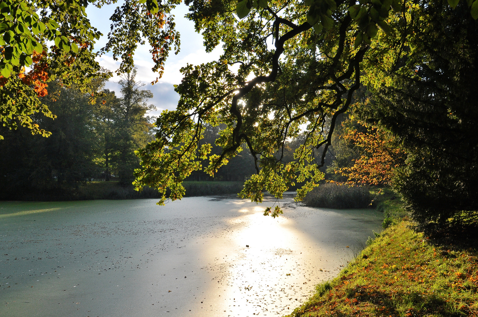 Sonnenlicht im Herbst