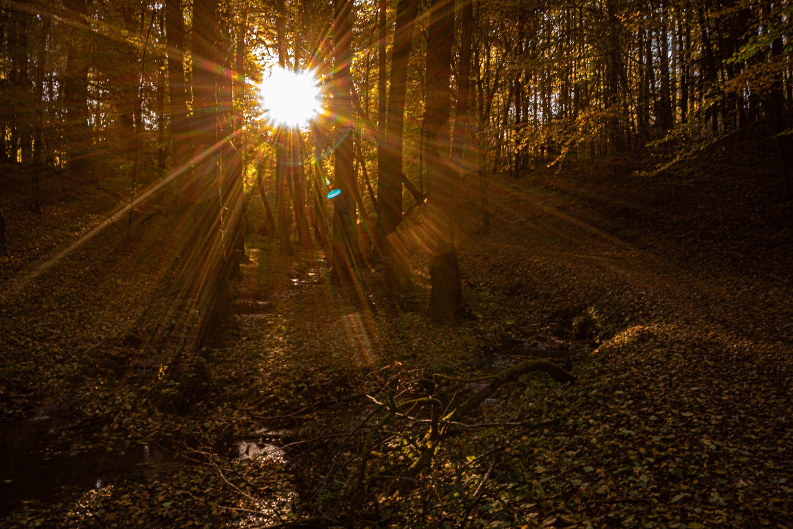 Sonnenlicht im Kaskadental