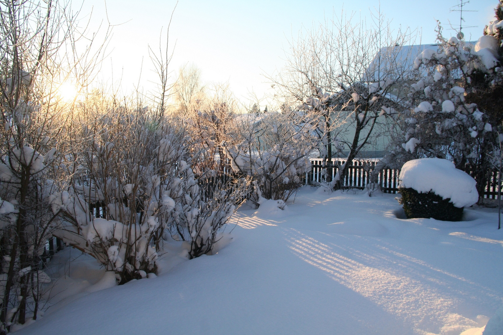 Sonnenlicht im Winter